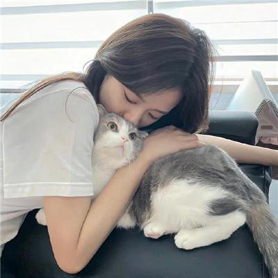 媒运当头